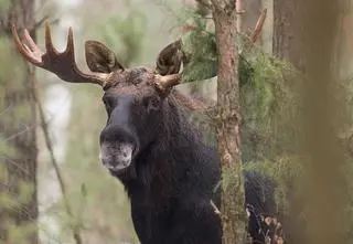 Mieszkańcy kontra właściciel. Czy śmiertelna pułapka zniknie?