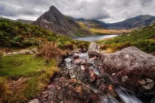 Tryfan, Walia
