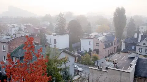 Nawet krótkotrwała ekspozycja na smog zwiększa ryzyko udaru mózgu