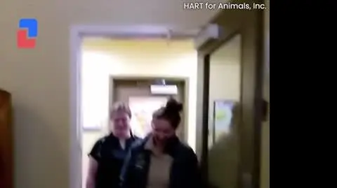 BUCKY_VIDEO_PION_1703