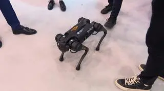Robot Rexio ma oswajać dzieci z maszynami szpitalnymi
