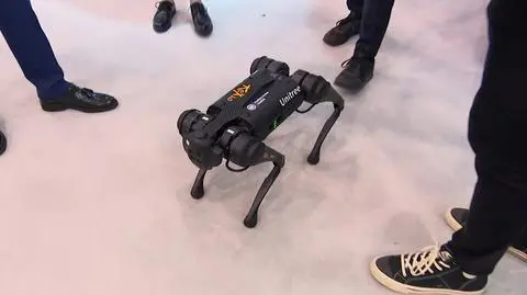 Robot Reksio ma oswajać dzieci z maszynami szpitalnymi