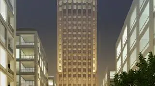 Wizualizacja "Szkieletora"