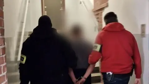 Miał w domu sporo narkotyków i potężny arsenał broni