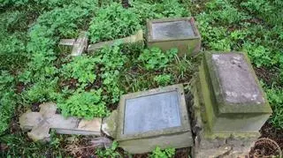 Niektóre tablice warzą po kilkaset kilogramów  