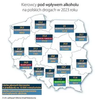 Kierowcy pod wpływem alkoholu na polskich drogach w 2023 roku
