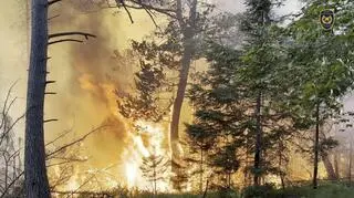 Pożar lasów w Parku Narodowym Czeska Szwajcaria