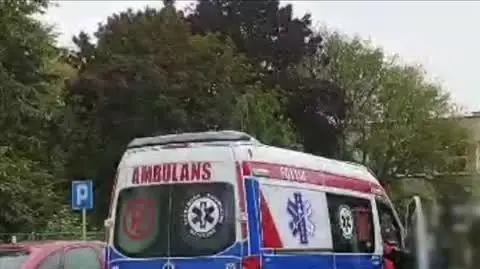 live dziewczyna