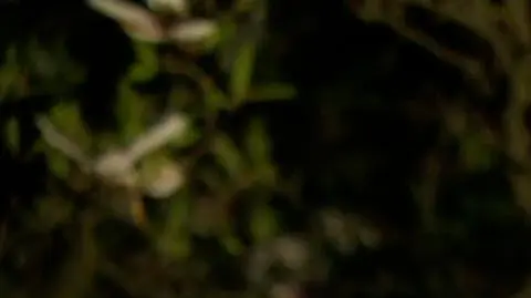 Co z osobami zatrudnionymi na zasadzie powołania i umowę o pracę interwencyjną? Odpowiada "Koronawirus. Raport"