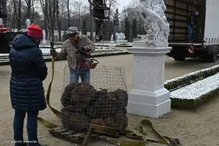Prace w pałacowym ogrodzie