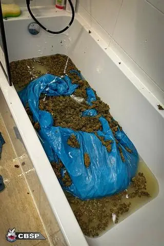 W trakcie akcji CBŚP zabezpieczono narkotyki