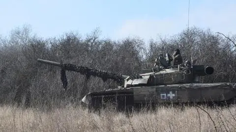 Ukraina, wojsko 