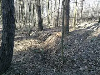 Zachował się również okop wartowników obozowych 