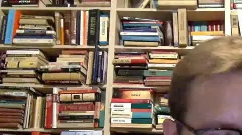 sierakowski x kolanko