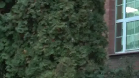 PROK OLSZTYN