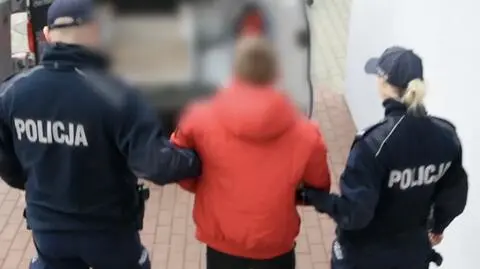 19-latek przyznał się do winy 