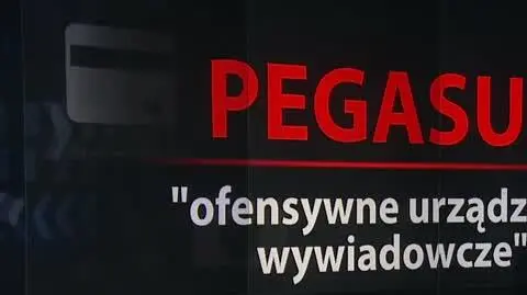 pegasus
