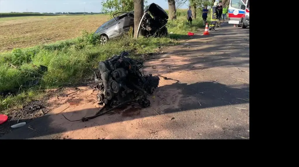 dla Igora
