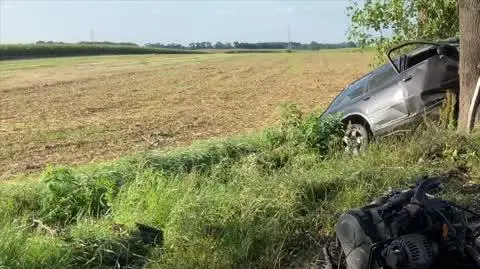 dla Igora