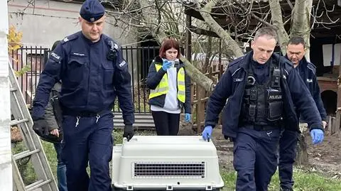 Wychudzony, zaniedbany, drapał się do krwi. "Właścicielka właściwie wydała na niego wyrok"