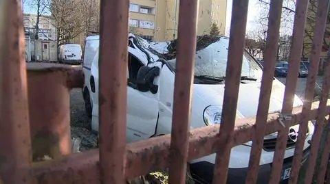 Drzewo przewróciło się na samochód. Silny wiatr na Pomorzu 