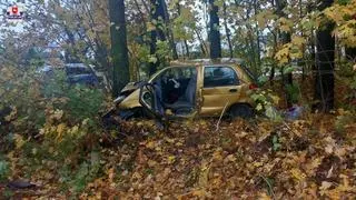 Zjechał z drogi, uderzył w drzewo. Za kierownicą 90-latek