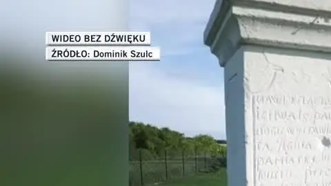 slajdszoł dla TM