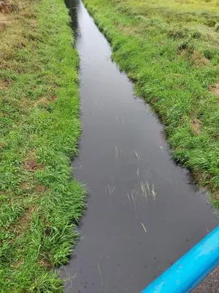 Tak obecnie wygląda odcinek rzeki przy moście (zdjęcie z 12 września) 