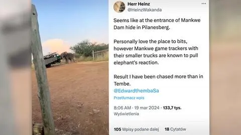 Słoń podniósł samochód z turystami. Zobacz nagranie