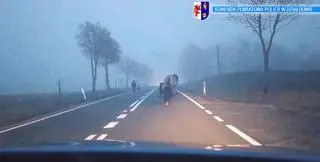 Zwierzęta uciekły wystraszone w sylwestrową noc