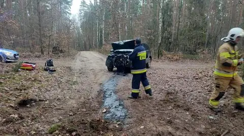 Ucieczkę przed policją skończył na drzewie