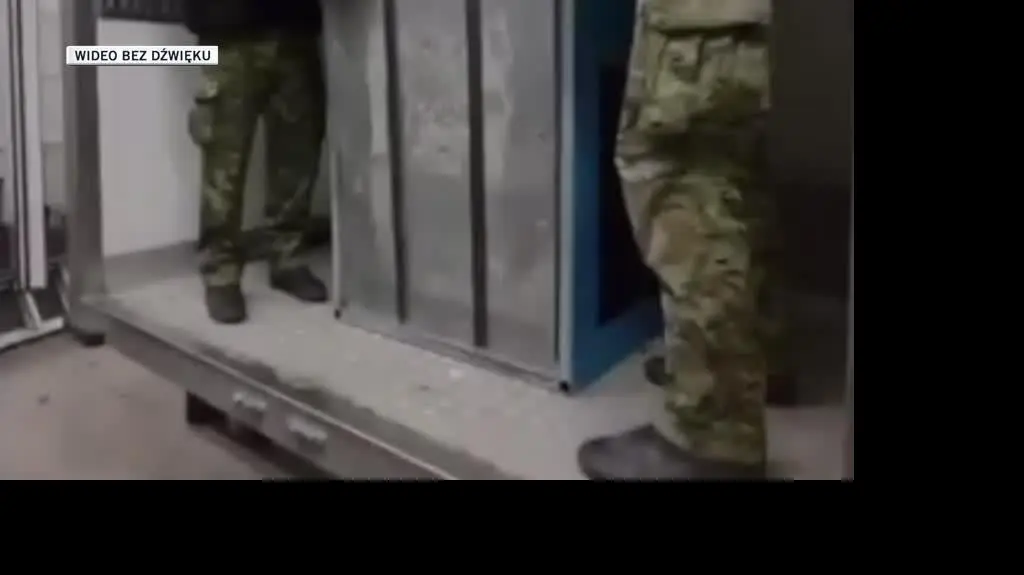 dla Oli 1