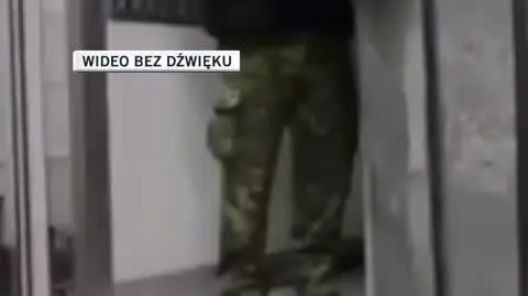 dla Oli 1