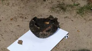 Czaszkę zabezpieczyła policja