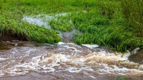 Niemal cała Polska z alarmami hydrologicznymi