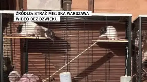 Straż Miejska Warszawa