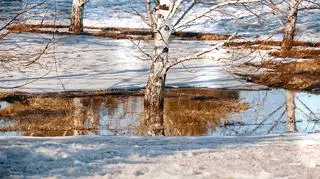 "Jedne pola skorzystają z zimowej kołderki, inne odczują skutki odwilżowej huśtawki"