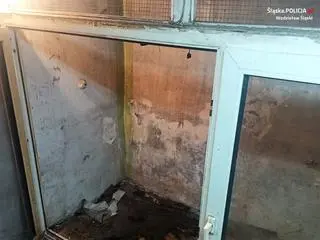 Jeden z psów mieszkał w wolierze dla kanarków