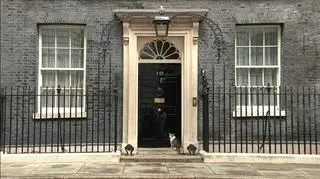 Larry przy Downing Street