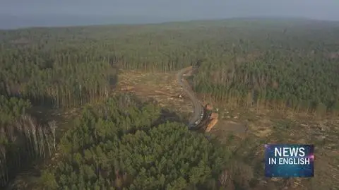 Deforestation for the construction of the Vistula Spit canal