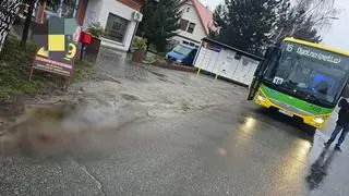 Kobieta wtargnęła na jezdnię pod jadący autobus