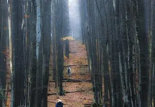 Ktoś tej osoby szukał, może wciąż na nią czeka? Tajemnica śmierci pod Matragoną