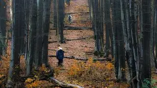 Podejście na Matragonę od strony Balnicy