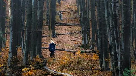 Ktoś tej osoby szukał, może wciąż na nią czeka? Tajemnica śmierci pod Matragoną