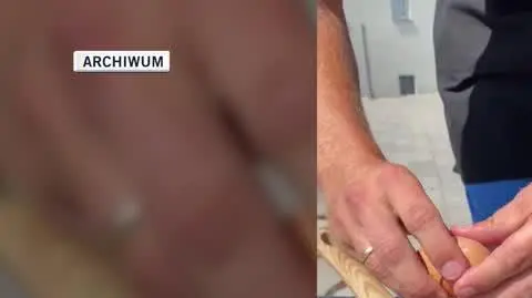 040719 GORNIAK PN arch