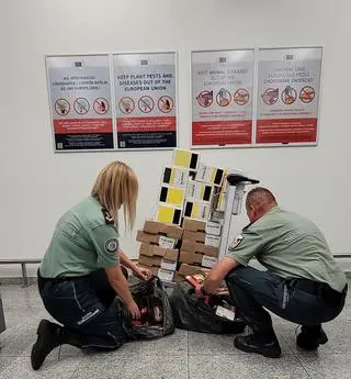 Celnicy znaleźli w bagażach 103 kilogramy wędlin