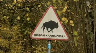 Leśnicy chcą, aby granice stef były bardziej widoczne w terenie  