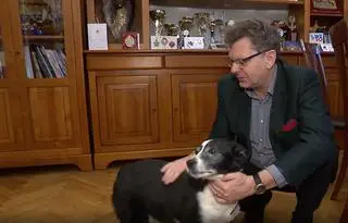 Od kilku lat jesteśmy jedyną gminą w Polsce, która nie ma bezdomnego zwierzęcia - mówi burmistrz Jacek Lipiński