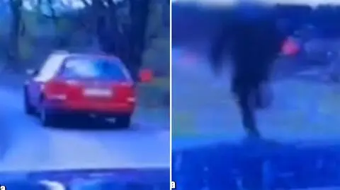 Ścigany kierowca chciał uciec do lasu. Nagranie