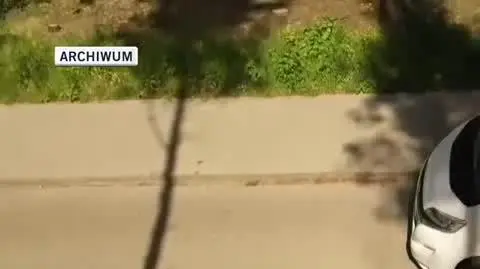 ARCHIWUM 